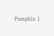 Pumpkin 1